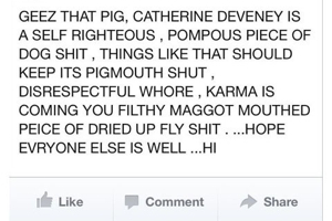 The ANZAC Spirit. Top 100 Hate Comments