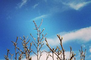 Five Haiku - Rachel Andrew