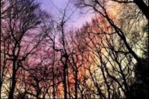 When she met him by - Holly Hedge