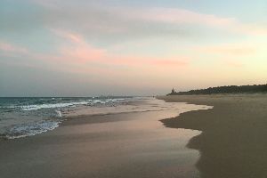 In Another Life… - Zoe Green
