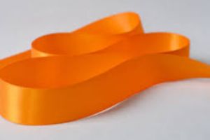 The Orange Ribbon -  Susannah Eliott