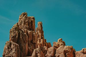 100 million years is a fucking long time  -  Alison Dorman