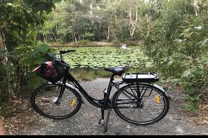 A Bike called Denise - Kirsten Small