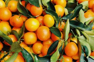 Six Prompts and an Orange Ribbon - Michelle Wilkins